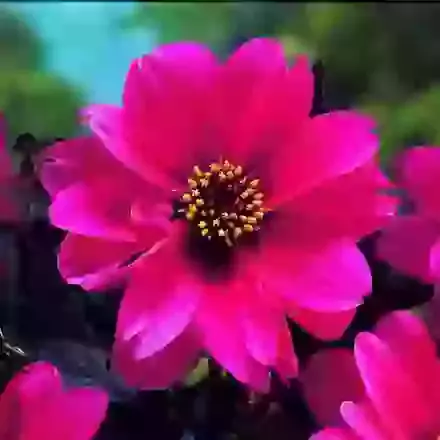 Bishop of Canterbury